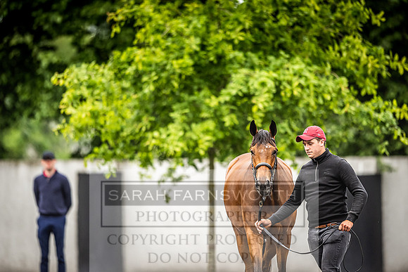 Goffs Land Rover Sale 2022-487