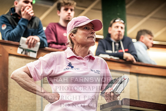 Goffs Land Rover Sale 2022-215