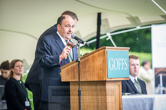Goffs London Sale 2016-392