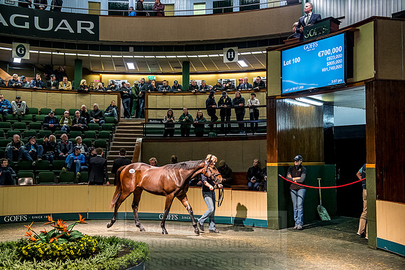 Goffs Orby 2018 Day 1-297