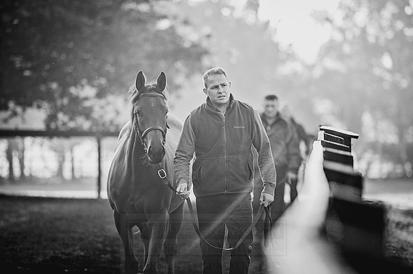 Goffs Orby 2015 -469 bw