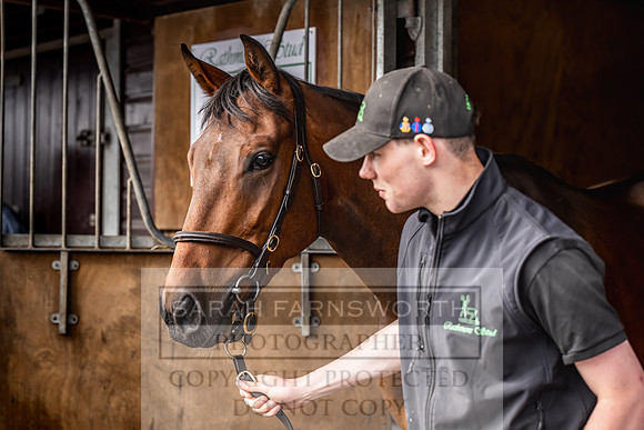 Goffs UK Spring Sale 2024-48