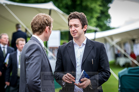 Goffs London Sale 2016-166