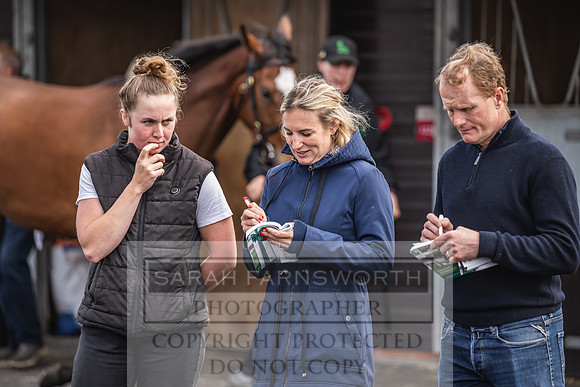Goffs UK Spring Sale 2024-46