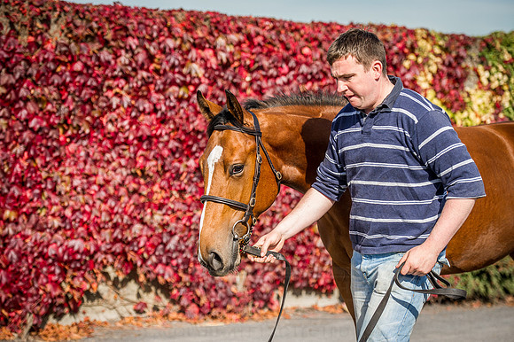 Goffs Orby 2015 -297