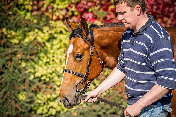 Goffs Orby 2015 -299