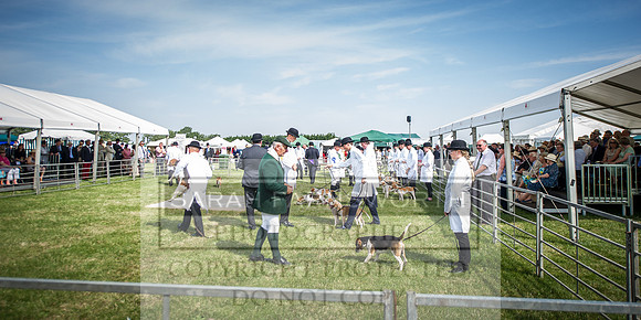 PFoH 2016-95
