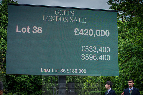 Goffs London Sale 2016-443