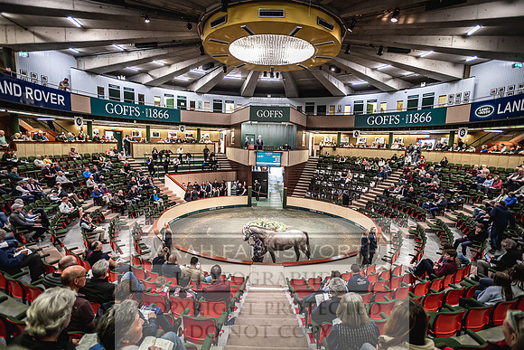 Goffs Land Rover Sale 2022-280