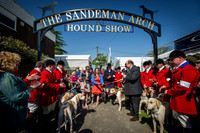 Ardingly Foxhounds 2015-9