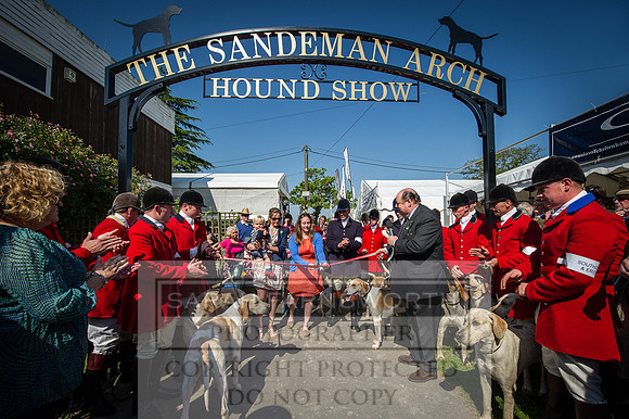 Ardingly Foxhounds 2015-9