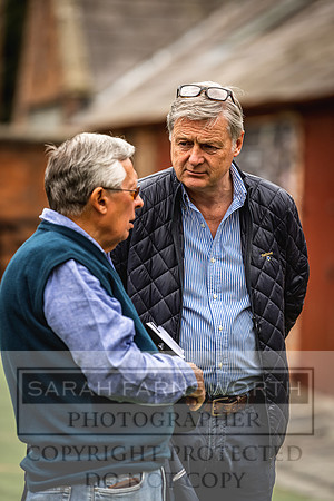 Goffs Yorton Sale 2022-164