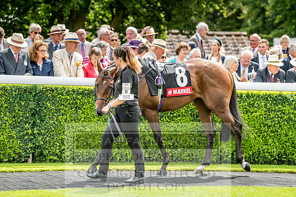 GUK Goodwood Sale 2019-76