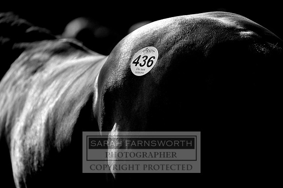DBS 010911 117 bw