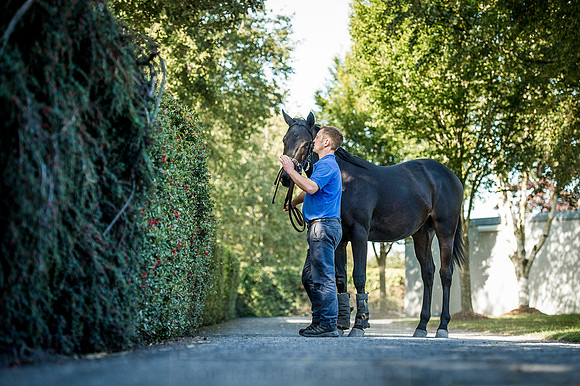 Goffs Orby 2015 -381