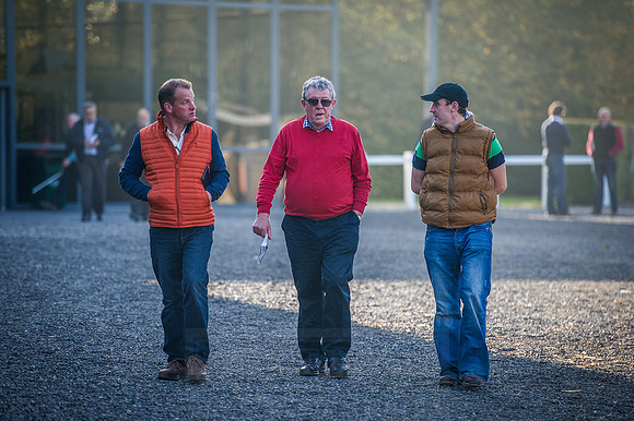 Goffs Orby 2015 -509