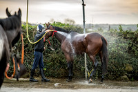 Colin Bowe-18