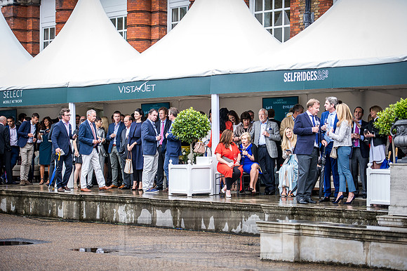 Goffs London Sale 2016-272