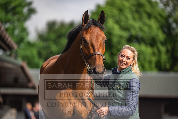 Goffs UK Spring Sale 2024-29