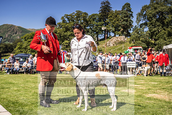 Rydal Hound Show 2022-130