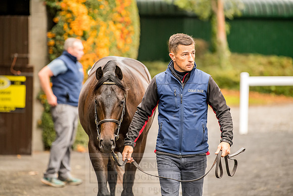 Goffs Orby 2018 Day 1-72