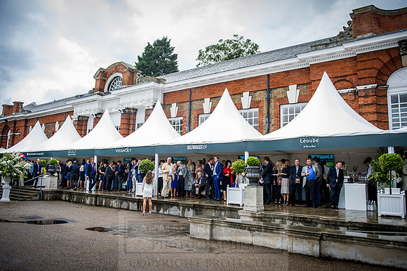 Goffs London Sale 2016-252