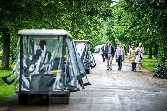 Goffs London Sale 2016-42