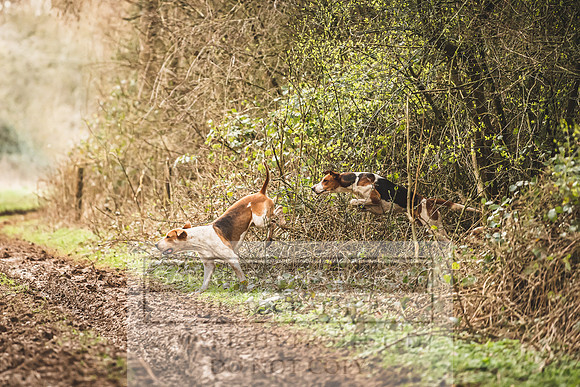 Thurlow at Heythrop 130319-626