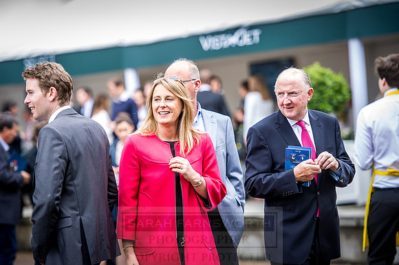 Goffs London Sale 2016-171