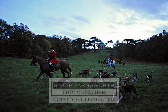 Brocklesby 021113 CF2 312