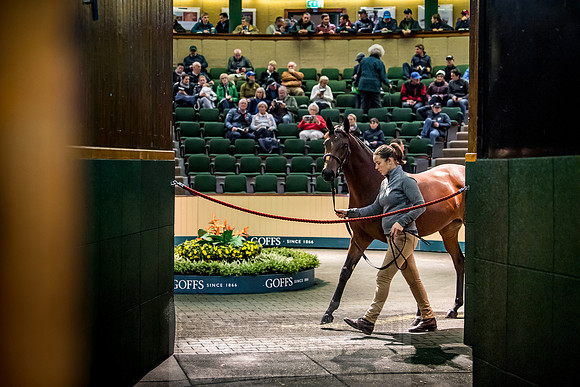 Goffs Orby 2018 Day 1-186