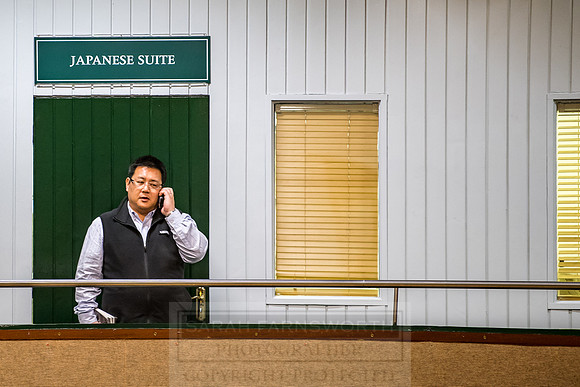 Goffs Orby 2018 Day 2-211