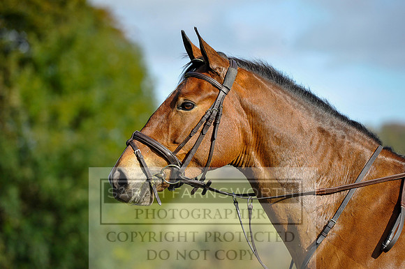 Heythrop Fun Ride 2014-286