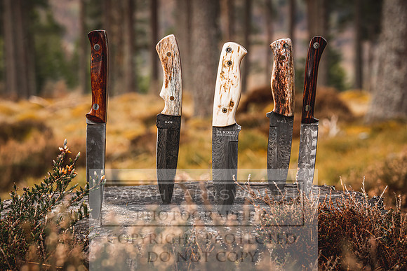 Purdey AW21-439