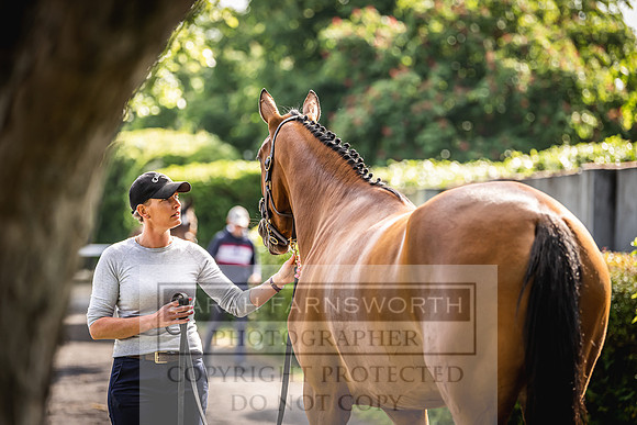 Goffs Land Rover Sale 2022-162