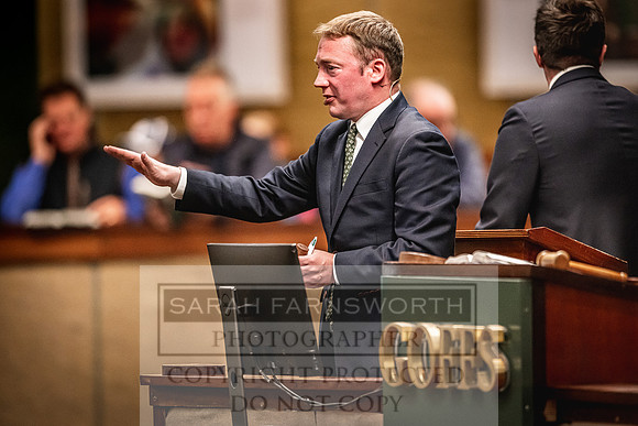 Goffs Land Rover Sale 2022-624