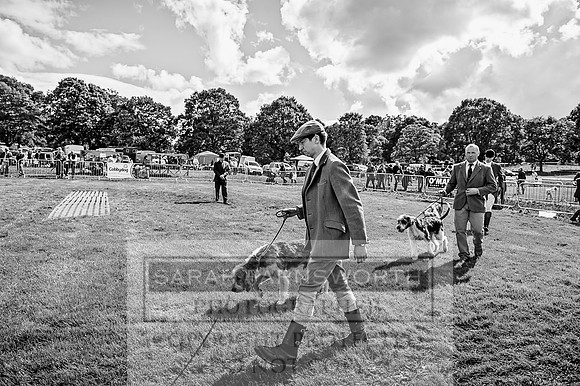 Lowther Hound Show 2017-106