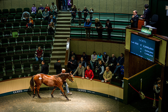 Goffs Orby 2015 -629