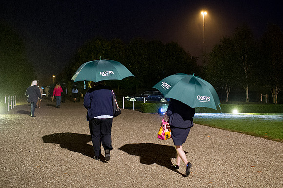 Goffs Orby14 CF7 1033
