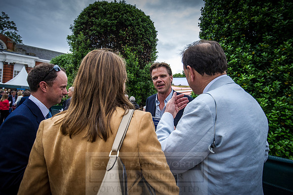 Goffs London Sale 2016-454