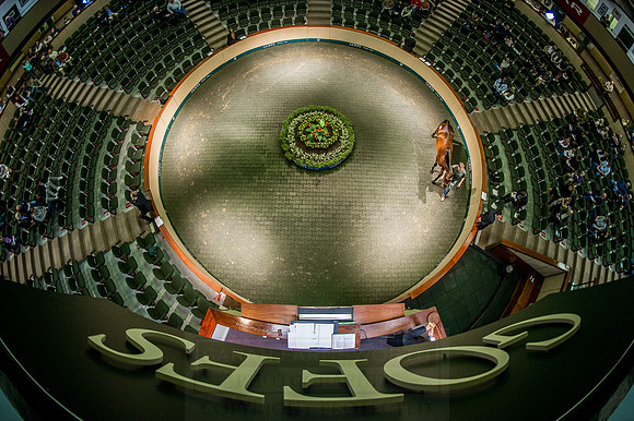 Goffs Orby 2015 -575