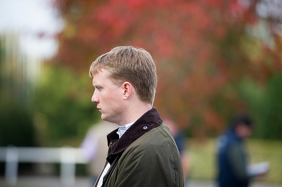 Goffs Orby14 CF1 473