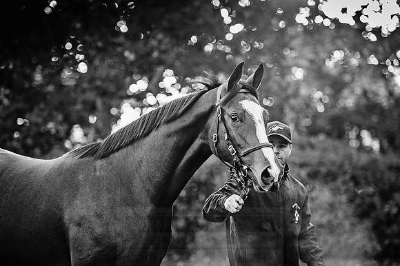 Goffs Orby 2015 -124 bw