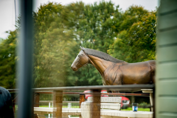 Goffs Orby 2018 Day 2-47
