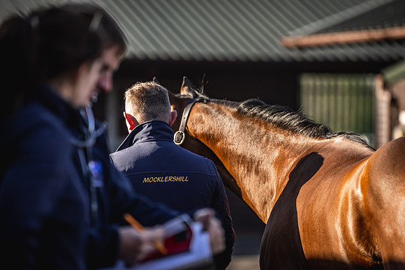 Goffs UK Breeze Up 2022-18