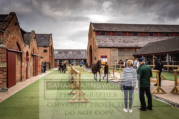 Goffs Yorton Sale 2022-43