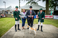 Ardingly Beagles 2016-3