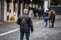Goffs Orby 2018 Day 1-14
