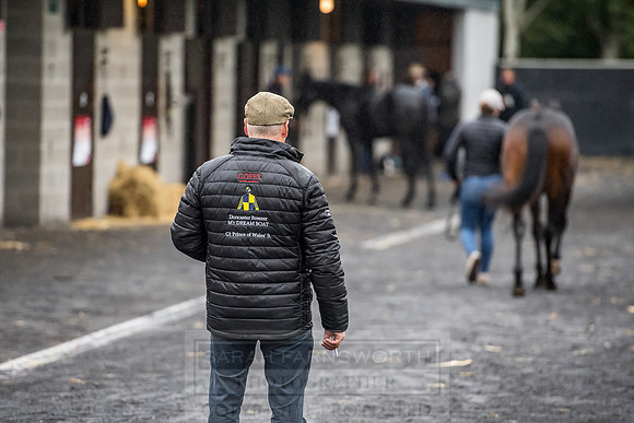 Goffs Orby 2018 Day 1-14