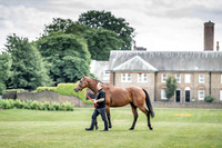 Goffs London Sale 2019-15